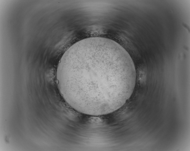 X0000102870519200809081208