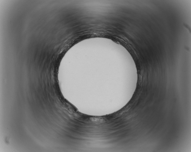 X0000102870520200809081208