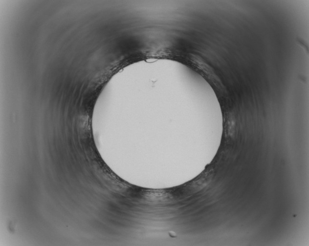 X0000102870521200809081208