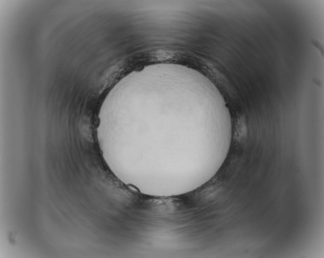 X0000102870524200809081208