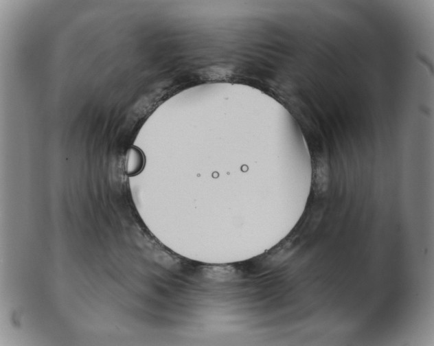 X0000102870525200809081208