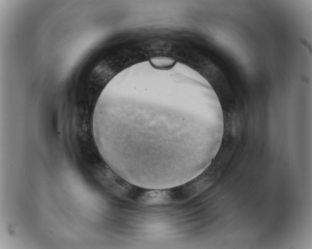 X0000102870526200809081208