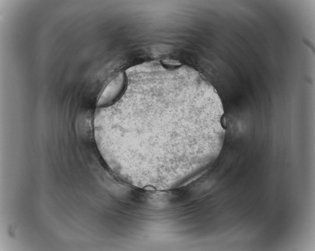 X0000102870527200809081208