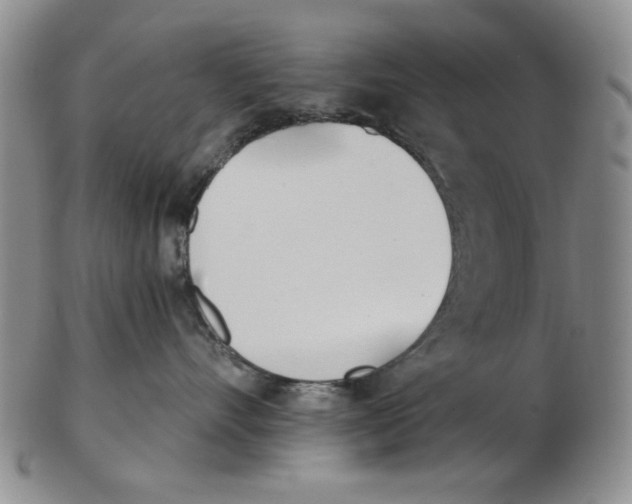 X0000102870528200809081208