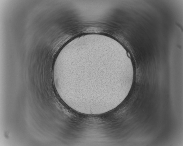 X0000102870529200809081208