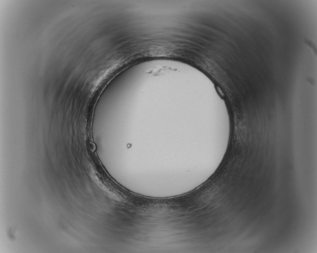 X0000102870530200809081208