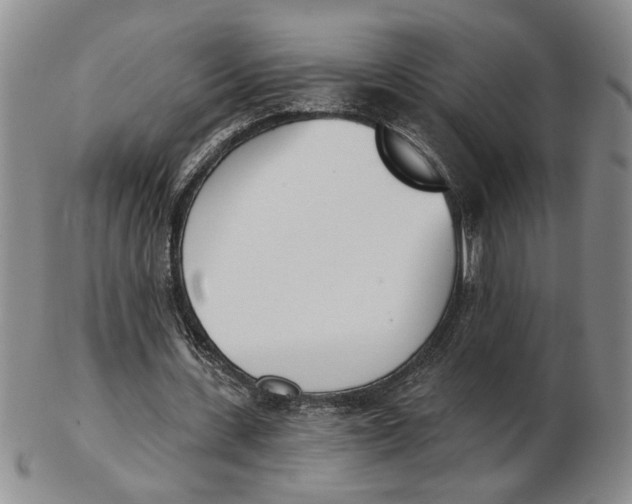 X0000102870531200809081208