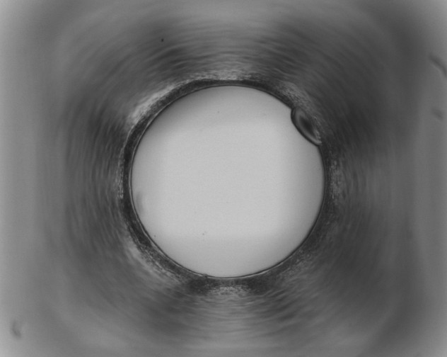 X0000102870536200809081208