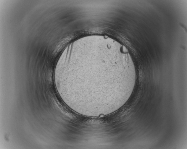 X0000102870537200809081208