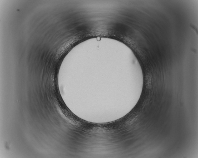 X0000102870538200809081208