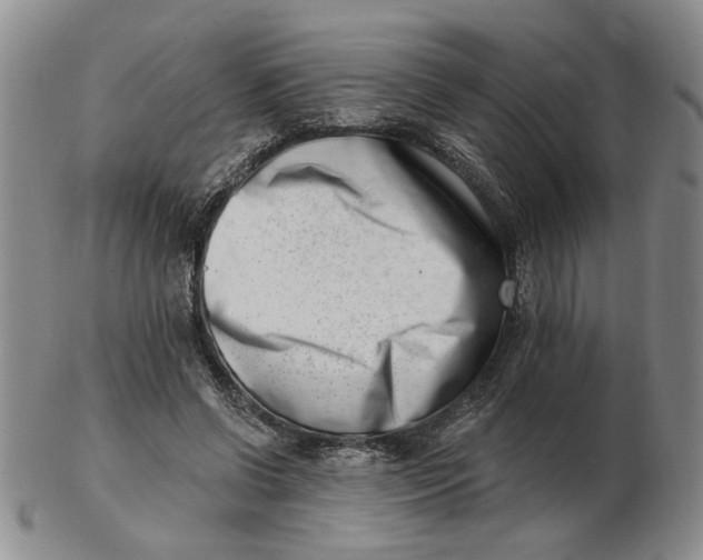 X0000102870542200809081208