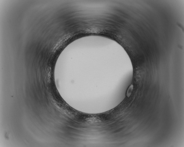 X0000102870544200809081208