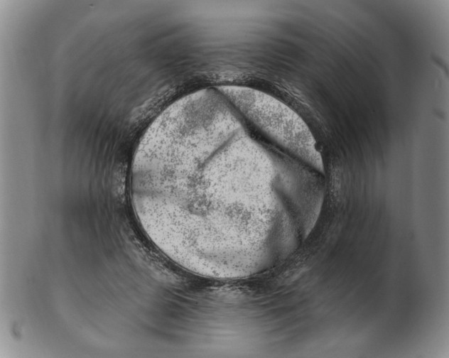 X0000102870545200809081208