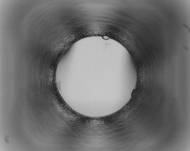 X0000102870546200809081208