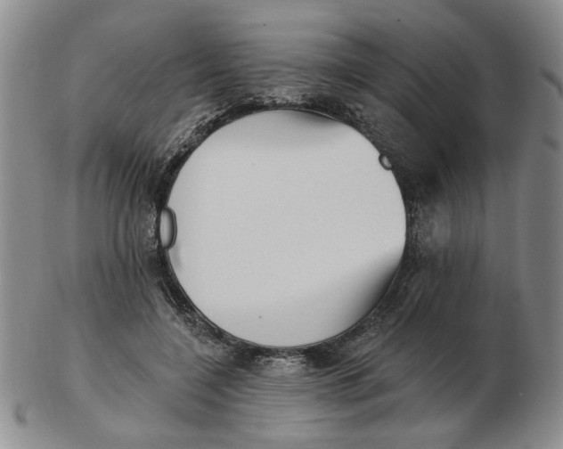 X0000102870548200809081208