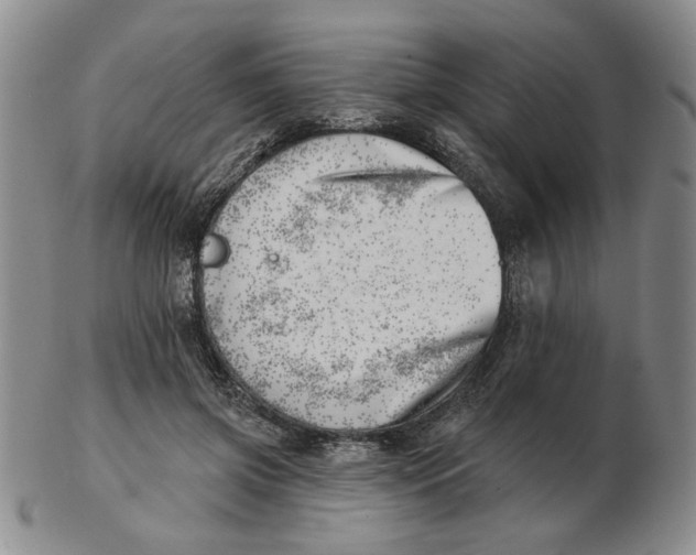 X0000102870549200809081208