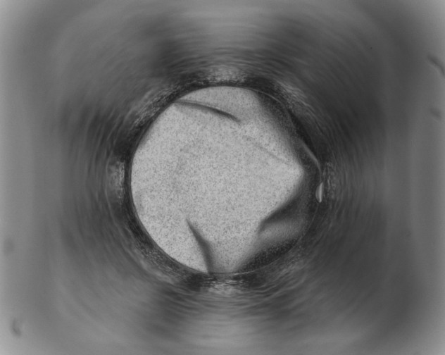 X0000102870550200809081208