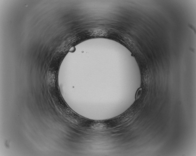 X0000102870551200809081208