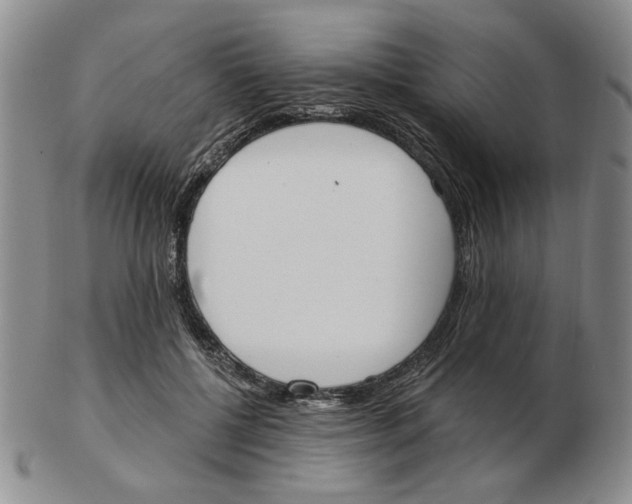 X0000102870552200809081208