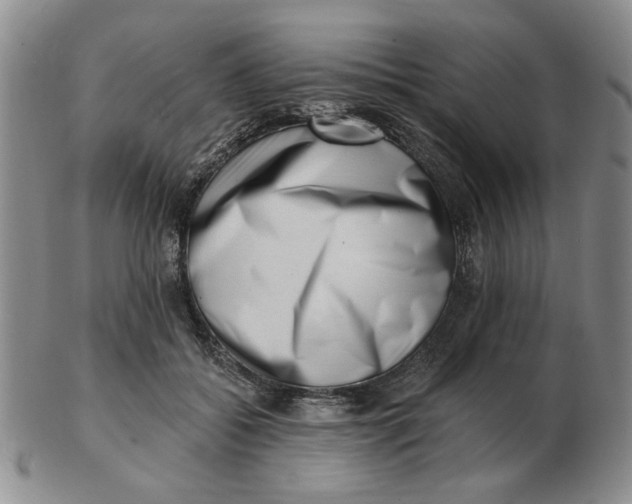 X0000102870556200809081208