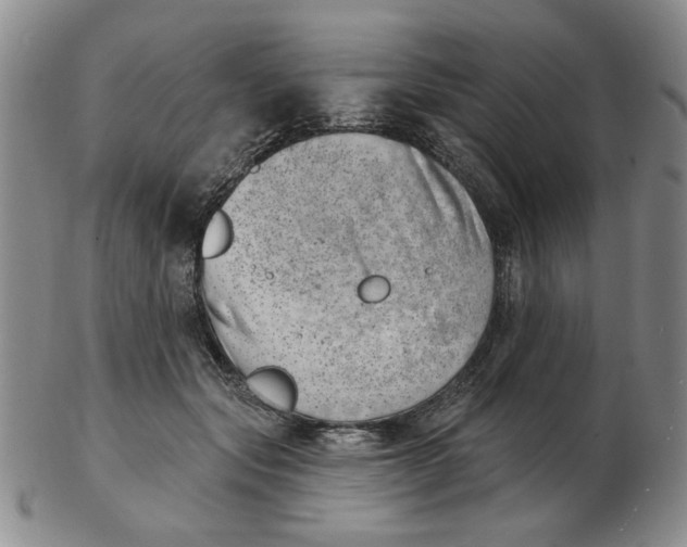 X0000102870557200809081208