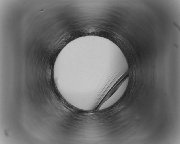 X0000102870558200809081208