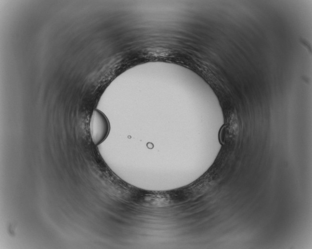 X0000102870559200809081208