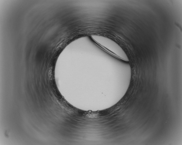 X0000102870560200809081208