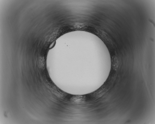 X0000102870563200809081208