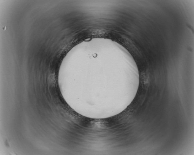 X0000102870564200809081208