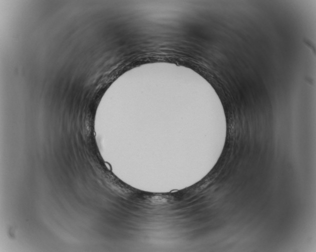 X0000102870566200809081208