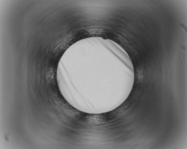 X0000102870567200809081208