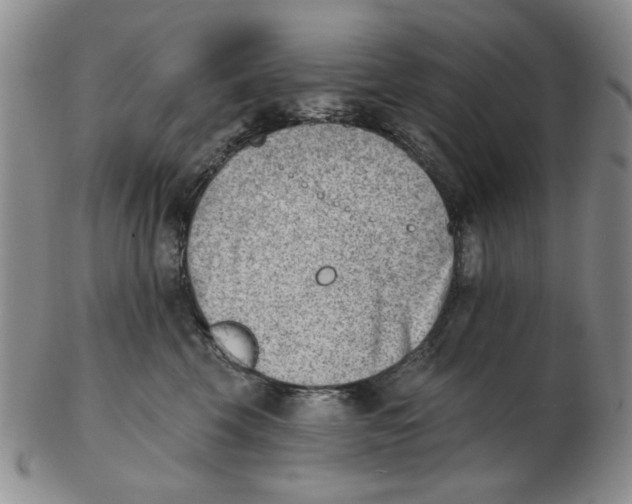 X0000102870569200809081208