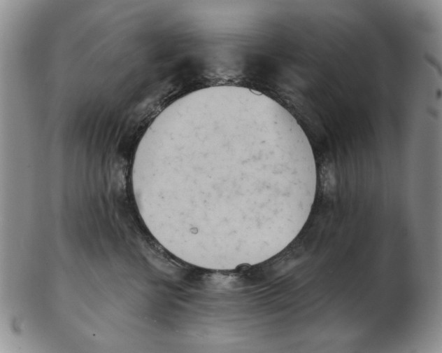 X0000102870570200809081208