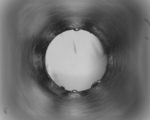 X0000102870572200809081208