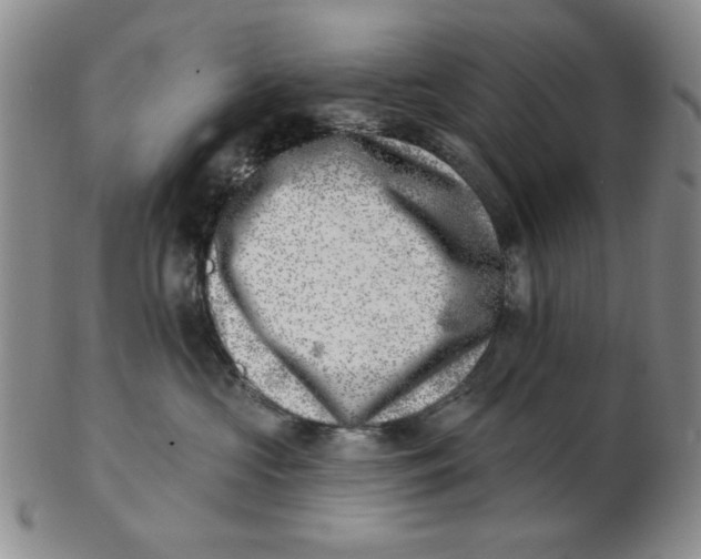 X0000102870573200809081208