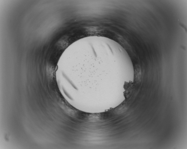 X0000102870574200809081208