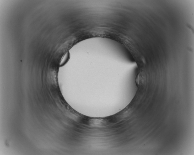 X0000102870575200809081208