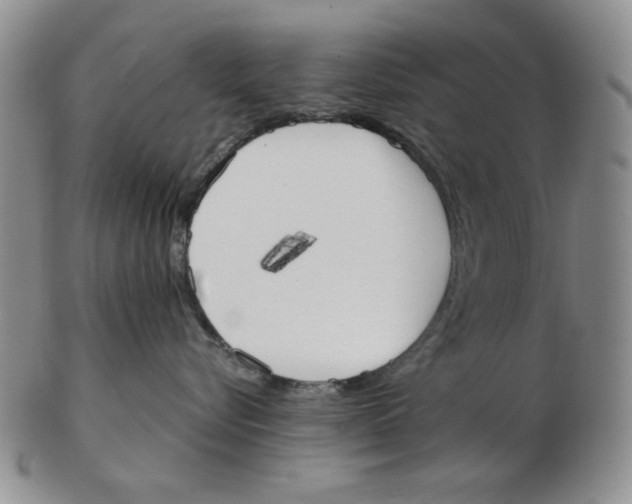 X0000102870576200809081208