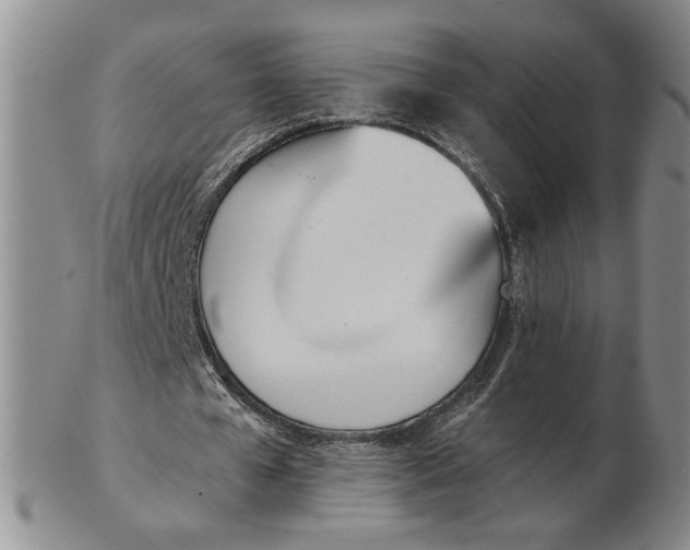 X0000102870577200809081208