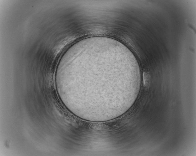 X0000102870579200809081208