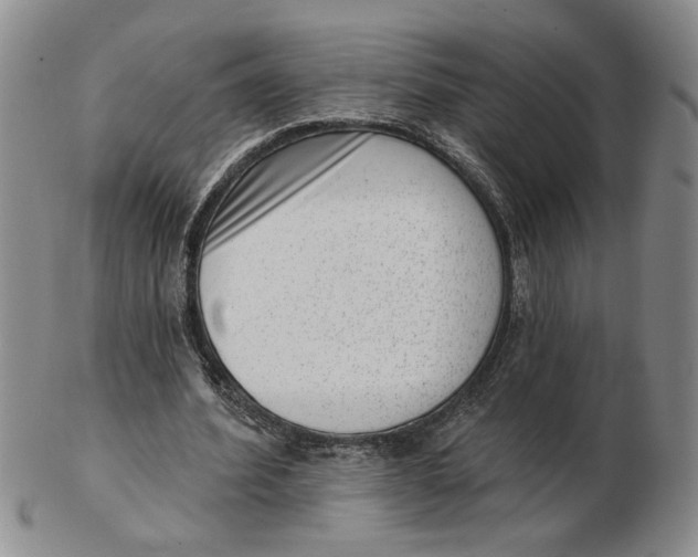 X0000102870580200809081208