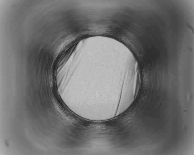 X0000102870582200809081208