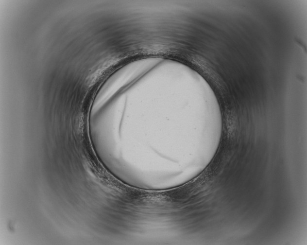 X0000102870583200809081207