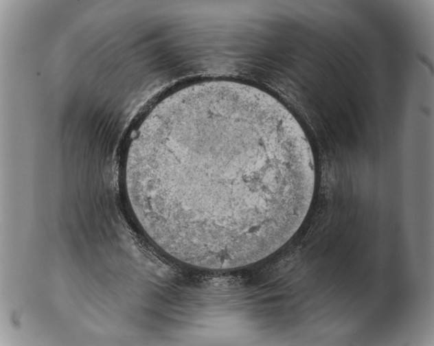 X0000102870584200809081207