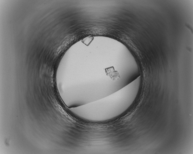 X0000102870585200809081207