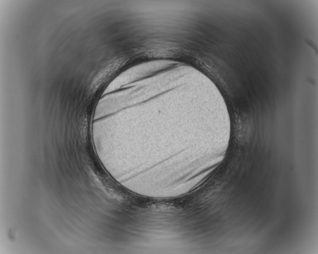 X0000102870586200809081207