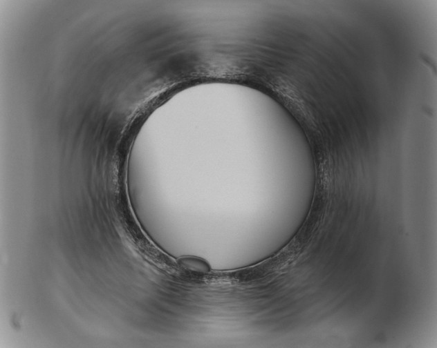 X0000102870587200809081207