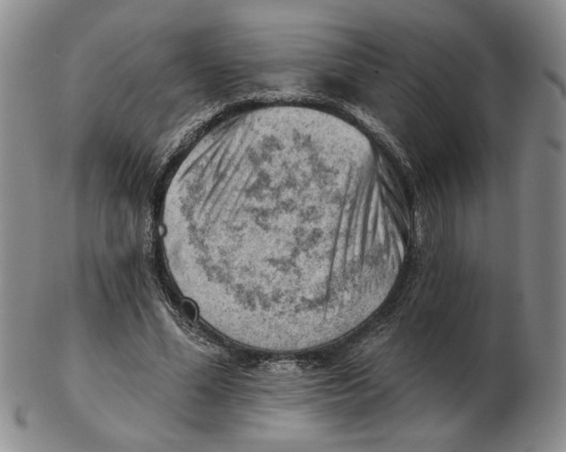 X0000102870588200809081207