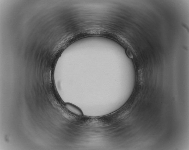 X0000102870589200809081207